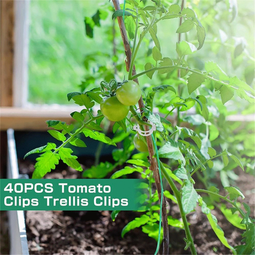 40pcs Tomato Hooks with Cord Plant Buckles 1
