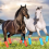 Horse Fly Boots Reusable Leggins Orange 4