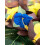Rubies Tropical Coconut Hawaiian Cut 3