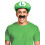 Rubies Luigi Adult Cap and Mustache 1