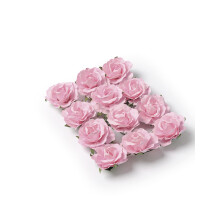 12 Pink Roses to Prick