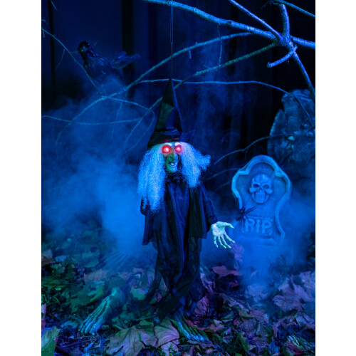 Rubies Animated, light-up, talking witch Halloween decoration 1
