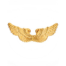 Golden angel wings 88 X 25 cm