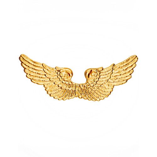 Rubies Golden angel wings 88 X 25 cm