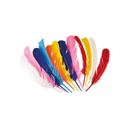 Rubies 12 Multicolored Indian Feathers 30 cm