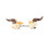 Rubies Brown enchanted horns surrounded by orange flowers 2