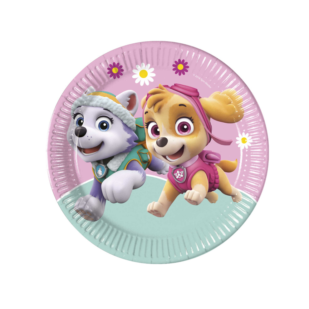 Rubies 8 Paw Patrol Skye And Everest Paper Plates 23 Cm