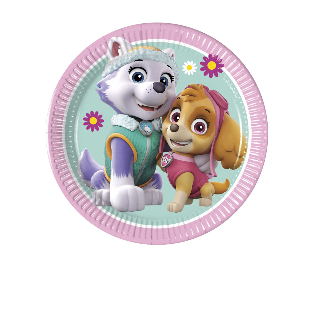 Rubies 8 Small Paper Plates Paw Patrol Skye And Everest 20 Cm