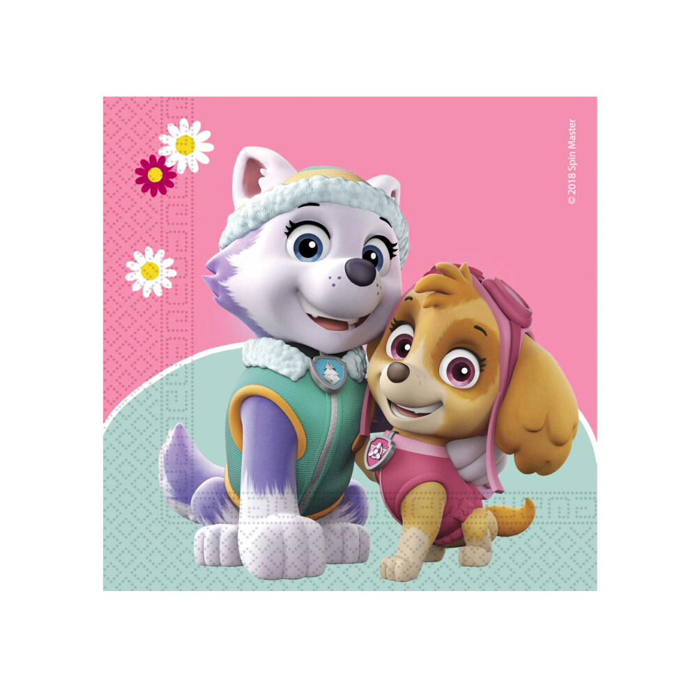 Rubies 20 Paw Patrol Skye And Everest Paper Napkins 33 X 33 Cm
