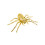 Rubies Golden skeleton spider 12.5 x 20.5 cm 1