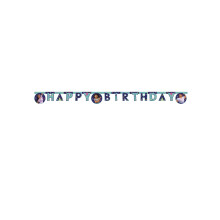 Encanto 2m Happy Birthday Cardboard Banner