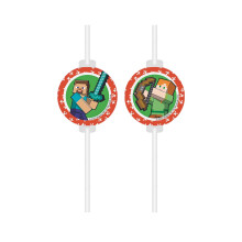 4 Minecraft Medallion Paper Drinking Straws
