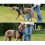 Modello: Tactical 1 pezzo Imbracatura per cane nera Taglia M/L 7