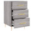 VidaXL vidaXL Bedside Cabinet Bedside Table Nightstand Grey Sonoma Engineered Wood 7