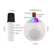 Mini-Karaoke-Lautsprecher 5 W 1200 mAh 10,5 cm Schwarz/Weiß