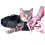 Cat Grooming Bag - Durable And Versatile Bags Designed To Keep Cats Safely 3