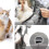 (Grey) Dog Backpack With Adjustable Transport Bag Max 12kg 5