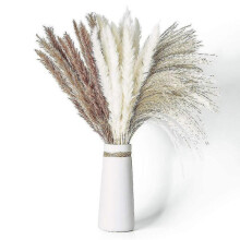70pcs Natural Dried Pampas Grass with 3 Kinds Of Color Fluffy And Swinging Diy Boho Plant for Wedding Flower Arrangements Home Dcor
