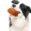 Chicken Leg Toy Pet Play Chew Toy 4