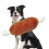 Chicken Leg Toy Pet Play Chew Toy 1