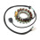 Stator Coil Copper 3HN 85510 10 00 Low Magnetic 7