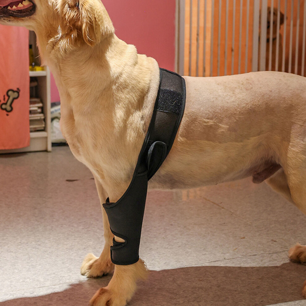 Comfortable Breathable Oxford Dog Knee Brace with Adjustable Fit for Rear Legs