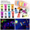 10ml Body Paint Set Blacklight Face and Body Paint 15