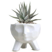 (S) Ceramic Planter Pot For Succulent Bonsai