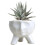 (S) Ceramic Planter Pot For Succulent Bonsai 1