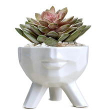 (L) Ceramic Planter Pot For Succulent Bonsai