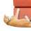 (3M)Pet Cat Dog Anti-scratch Tape Training Sofa Door Protector Guard Sticker 3