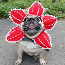 (M) Adorable Halloween Pet Hat Comfortable Demon Vivid Image Animal Hats Costume Accessory With Fastener Tape Funny Dress-up For Pet/YY