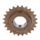 Single Speed Flywheel Bicycle Freewheel 24T Threaded Replacement for Fixie Bike 14