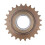 Single Speed Flywheel Bicycle Freewheel 24T Threaded Replacement for Fixie Bike 8