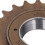 Single Speed Flywheel Bicycle Freewheel 24T Threaded Replacement for Fixie Bike 10