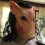 Halloween Mask Latex Pig Head Cap 5