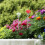 Gartenstäbe mit Perlen Set 365 g 300 x 4 mm Silber 5