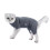 Cat Recovery Suit 4-Legged Grey Polyester | Soft, Elastic & Skin-Friendly M 12