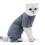 Cat Recovery Suit 4-Legged Grey Polyester | Soft, Elastic & Skin-Friendly M 3