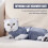 Cat Recovery Suit 4-Legged Grey Polyester | Soft, Elastic & Skin-Friendly M 7