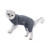 Cat Recovery Suit 4-Legged Grey Polyester | Soft, Elastic & Skin-Friendly M 9