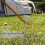 30pcs G Shape 6.0in Pins for Erosion Control and Landscape Projects 5