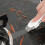Durable Stain Removal Tool for Kitchens Comfortable Grip Quick Results 3