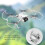 Quick Release Propeller Guards for Mini 4 Pro, PC, Removable Protectors 10