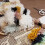 Household DIY Hand Made Crocheting Carpet Rug 15