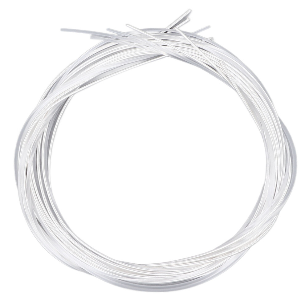 Vintage Style Silver Nylon Guitar Strings for Acoustic & Electric