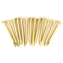 100Pcs Round Head Nail Brass Furniture Hinge