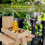 Blue Squirrel Feeder Table Pine Wood 19.4oz 9