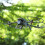 Mavic 3 Pro Propeller Protection: Anti-Collision & Shock Absorb 4