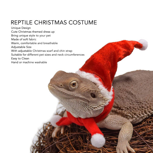 Reptile Christmas Costume Set, Adjustable Soft Breathable Cloth for Lizard 2